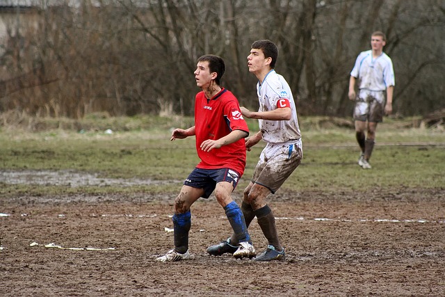 球员都具有 球员都具有