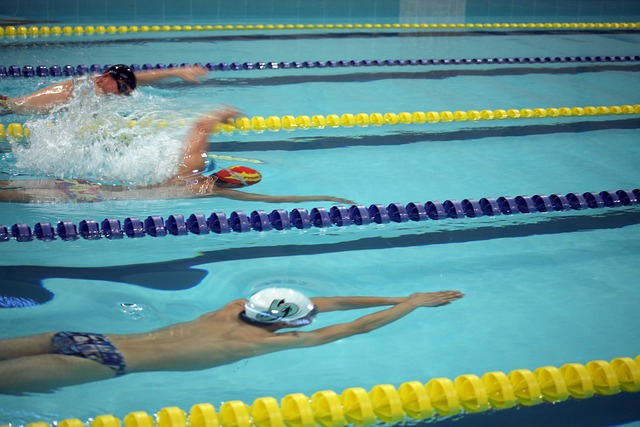 才华的能力 才华的能力