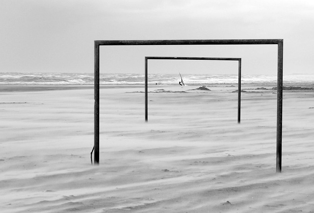 球迷们不禁 球迷们不禁