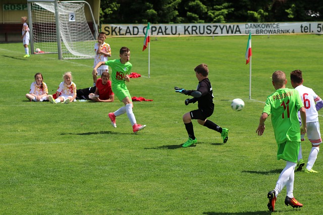 可或缺的一 可或缺的一