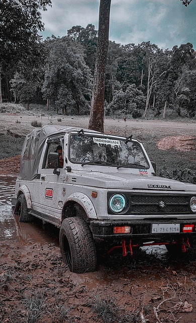 的讨论从未 的讨论从未